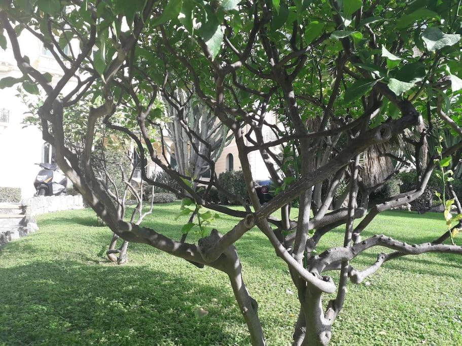 Apartamento La Casa Di Anna, In Palazzina Liberty Fronte Parco Bordighera Exterior foto