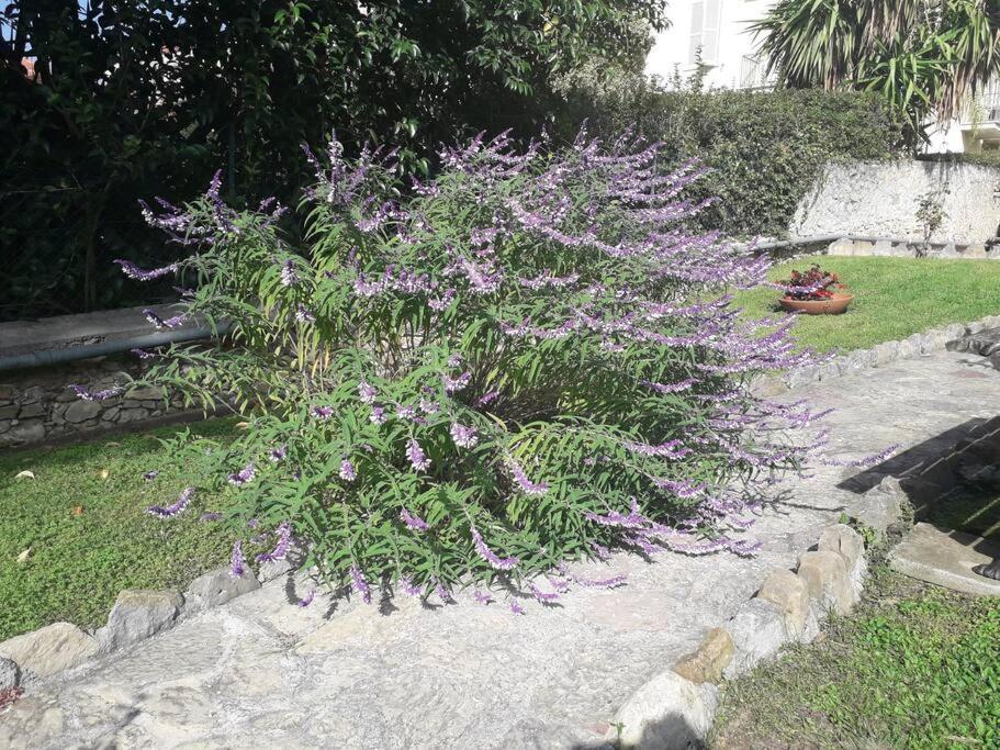 Apartamento La Casa Di Anna, In Palazzina Liberty Fronte Parco Bordighera Exterior foto